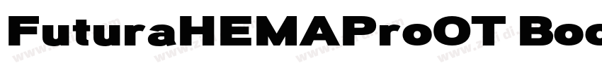 FuturaHEMAProOT Boo字体转换